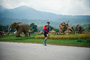 BIB: 
                            <button type="button" onclick="openModal(22435728)" class="btn btn-primary btn-sm float-right btn-popup" data-toggle="modal" data-target=".modal-high-quality">
                        <i class="fas fa-shopping-cart"></i> Add to Cart
                    </button>
                                            <button type="button" onclick="isThisMe(22435728, true)" class="btn btn-success btn-sm float-right btn-popup btn-isme hidden" data-toggle="tooltip" data-placement="bottom" title="นี่คือรูปของคุณใช่ไหม คลิกที่นี่เพื่อเอาเข้าอัลบั้ม">
                        <i class="fas fa-plus"></i> Add to album
                    </button>
                    <button type="button" onclick="isThisMe(22435728, false)" class="btn btn-warning btn-sm float-right btn-popup btn-isnotme hidden">
                        <i class="fas fa-ban"></i> Remove from album
                    </button>